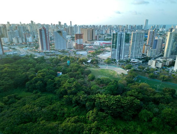 Mobilier restaurant classique : l'élégance intemporelle à votre table