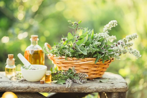 Pourquoi utiliser des plantes médicinales ?