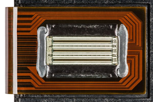 Ant-Man en figurine : Quand le super-héros devient tout petit